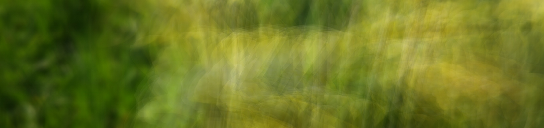 Cover photo