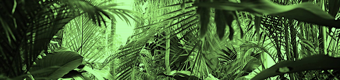 Cover photo