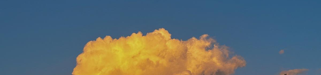 Cover photo