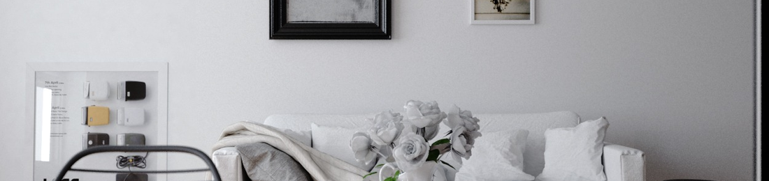 Cover photo