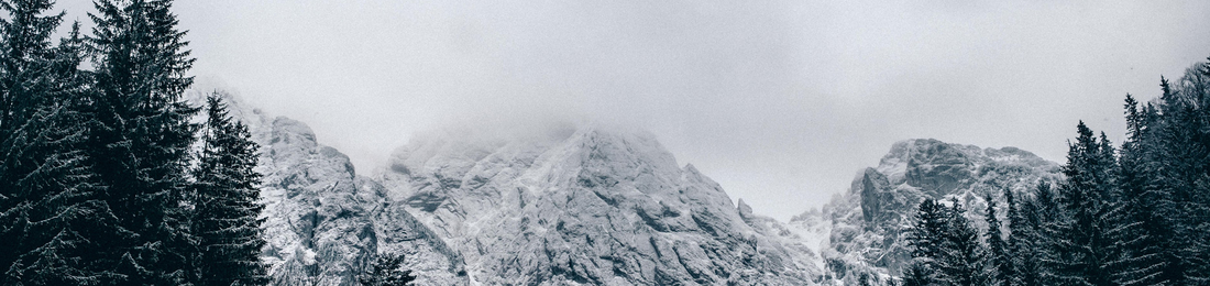 Cover photo