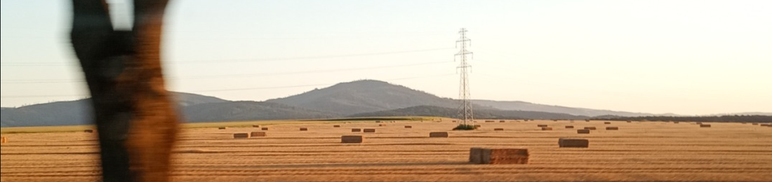 Cover photo