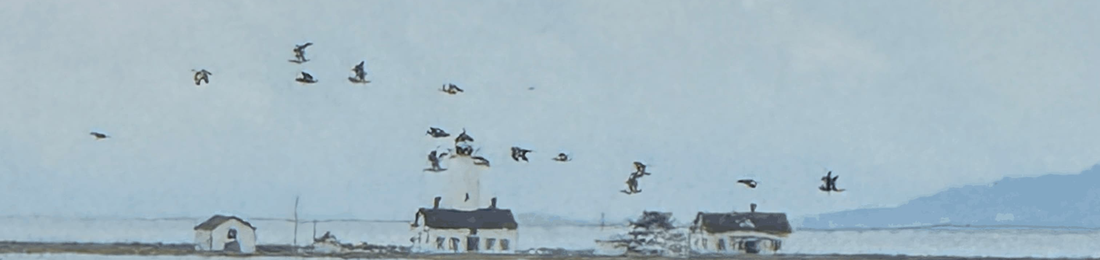 Cover photo