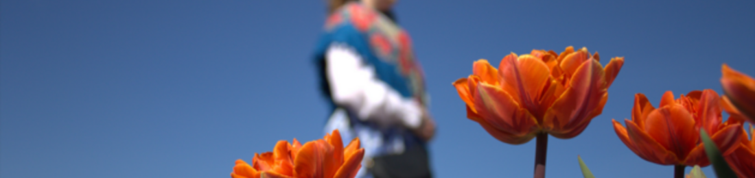 Cover photo