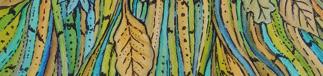 Cover photo