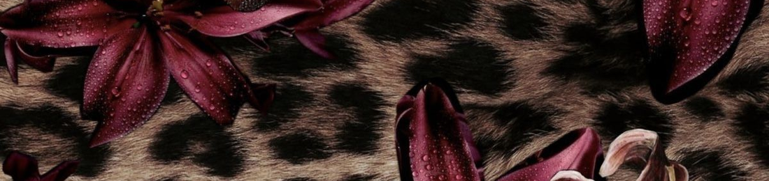 Cover photo