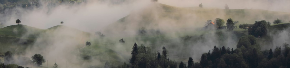 Cover photo