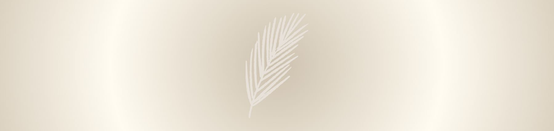 Cover photo