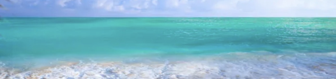 Cover photo
