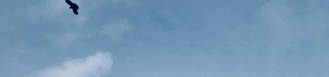 Cover photo