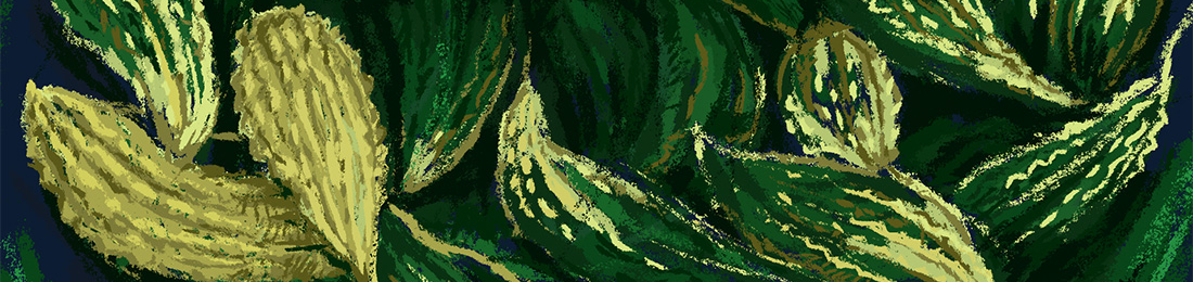 Cover photo