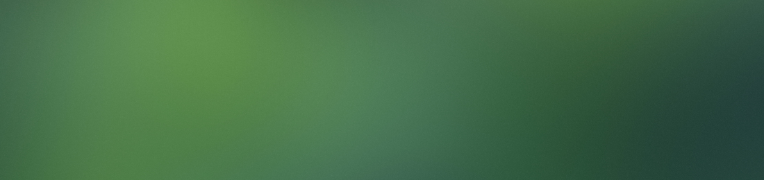Cover photo