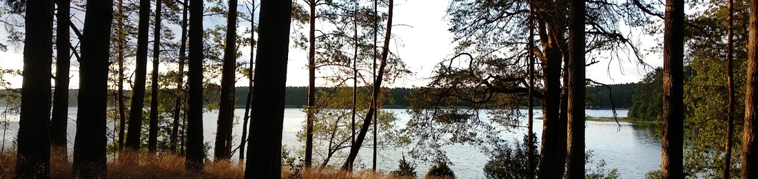Cover photo