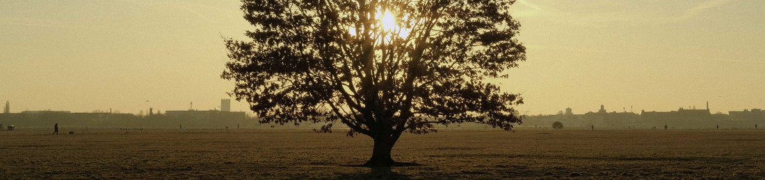 Cover photo