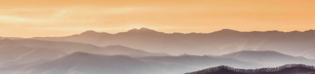 Cover photo