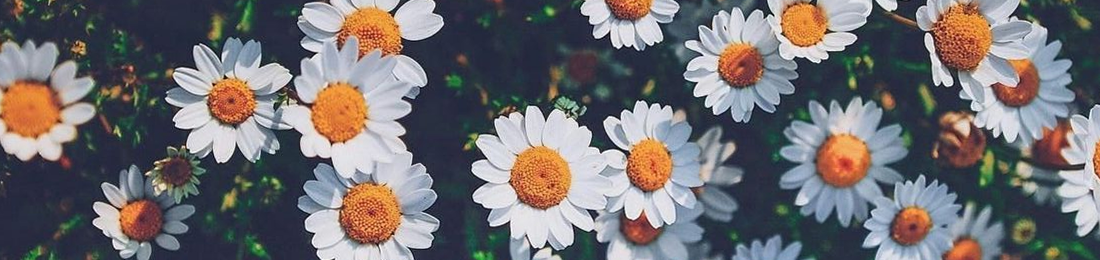 Cover photo