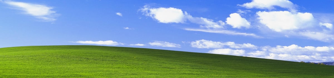 Cover photo