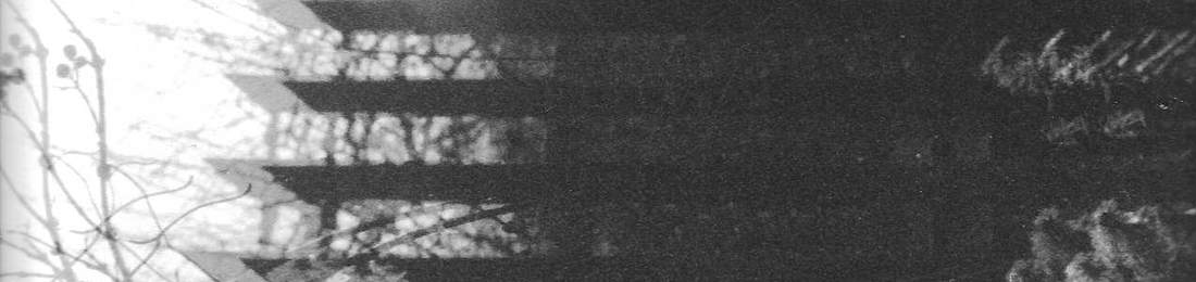 Cover photo