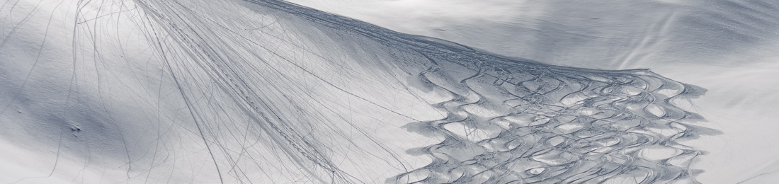 Cover photo