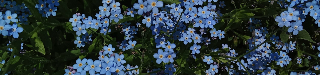 Cover photo