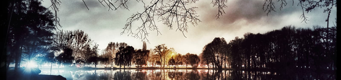 Cover photo