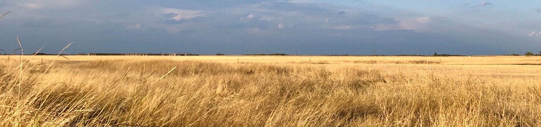 Cover photo