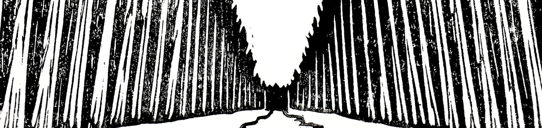 Cover photo