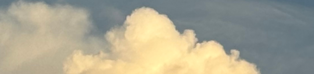 Cover photo