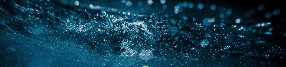Cover photo