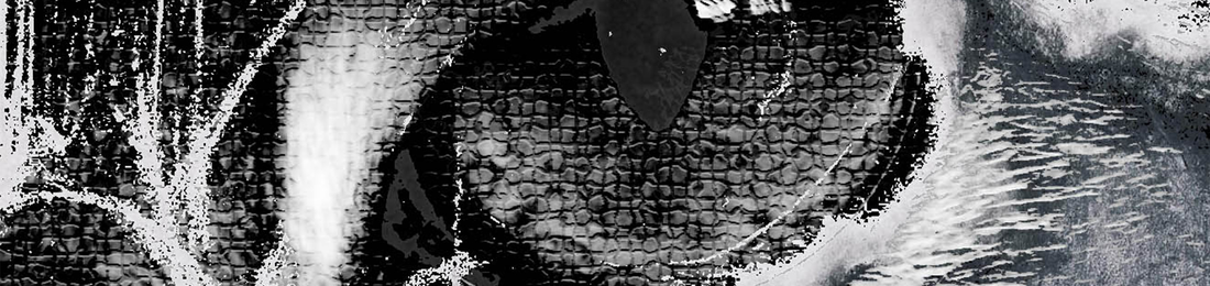 Cover photo
