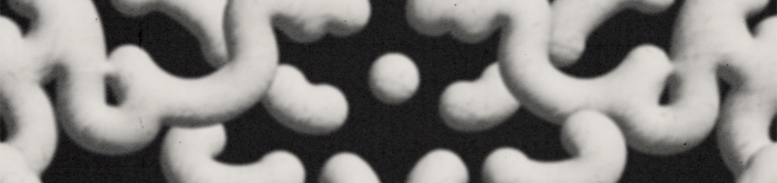 Cover photo
