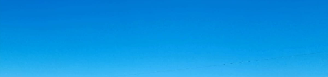 Cover photo