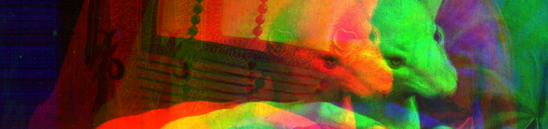 Cover photo