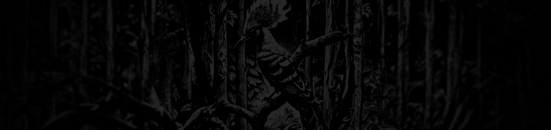 Cover photo
