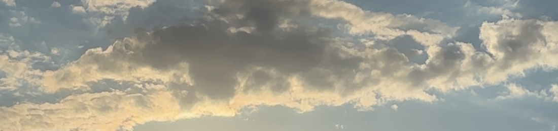 Cover photo