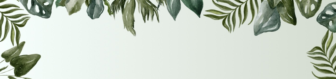 Cover photo