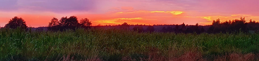 Cover photo