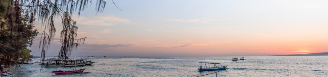 Cover photo