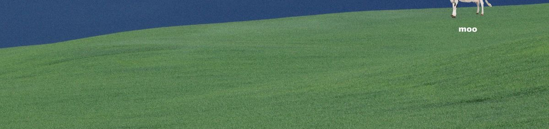 Cover photo
