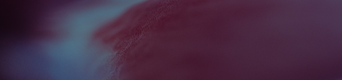 Cover photo
