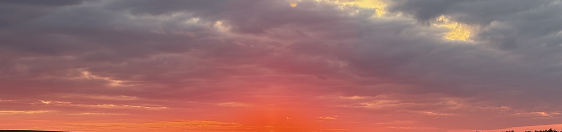 Cover photo
