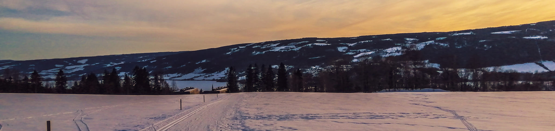 Cover photo