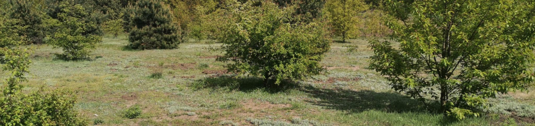 Cover photo