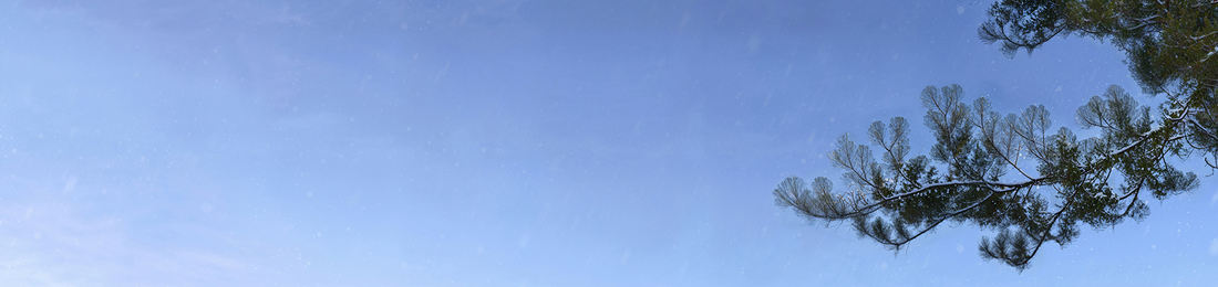Cover photo