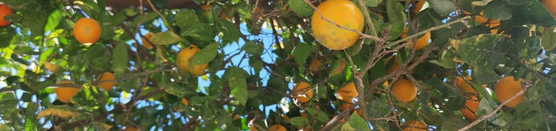 Cover photo