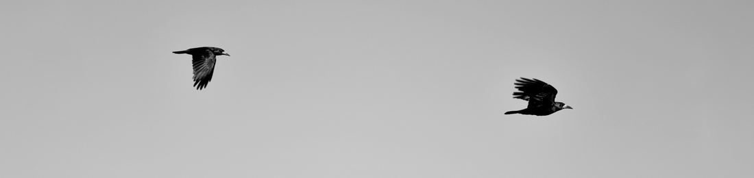 Cover photo