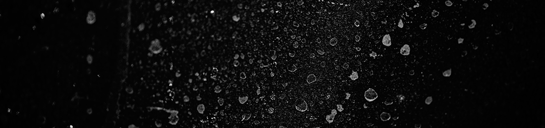 Cover photo