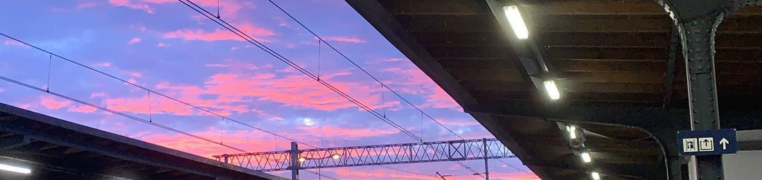 Cover photo