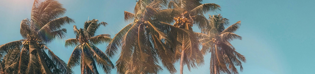 Cover photo