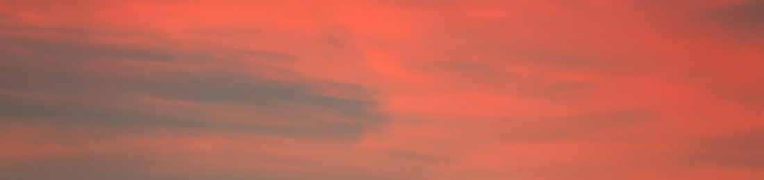 Cover photo
